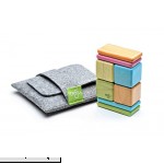 8 Piece Tegu Pocket Pouch Magnetic Wooden Block Set Tints 8 Piece Sets B004WMCZGY